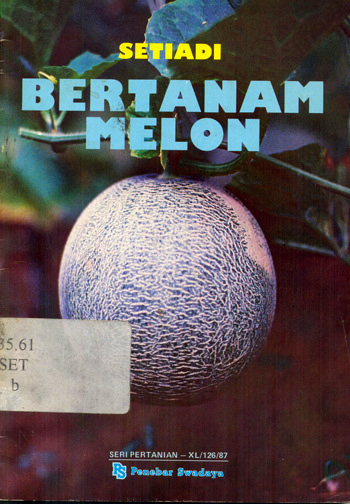 Bertanam Melon