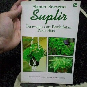 Suplir (Perawatan dan Pembibitan Paku Hias)