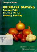 Budidaya Bawang : Bawang Putih, Bawang Merah, Bawang Bombay.