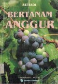 Rahasia Sukses Bertanam Bawang
