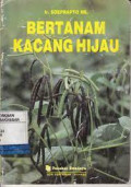 Bertanam Kacang Hijau