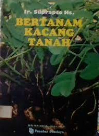 Image of Bertanam Kacang Tanah