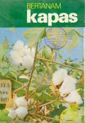 Bertanam Kapas