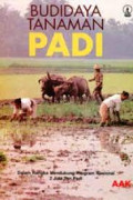 Budidaya Tanaman Padi : Di Lahan Pasang Surut