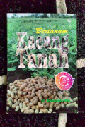 Bertanam Kacang Tanah
