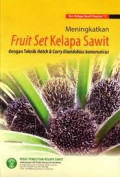 Fruit Set Kelapa Sawit