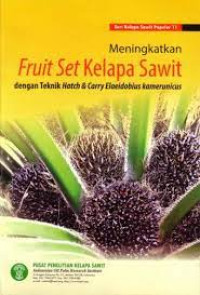 Image of Fruit Set Kelapa Sawit