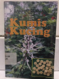 Kumis Kucing