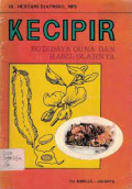 Kecipir