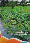 Tanaman Sela Pada Sistem Tanam Tumpang Sari