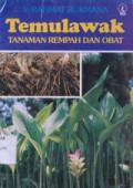 Temulawak Tnaman Rempah dan Obat