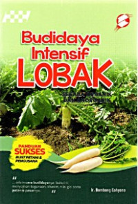 Budidaya Intensif Lobak Secara Organik dan Anorganik